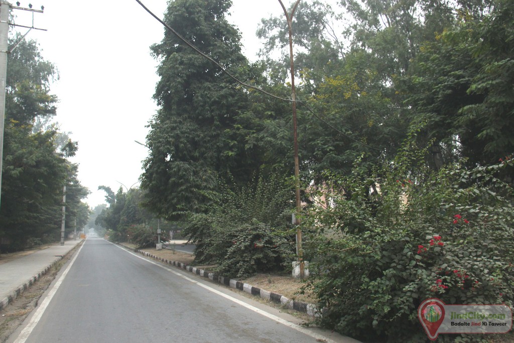 Zilla Sachivalaya Road Jind