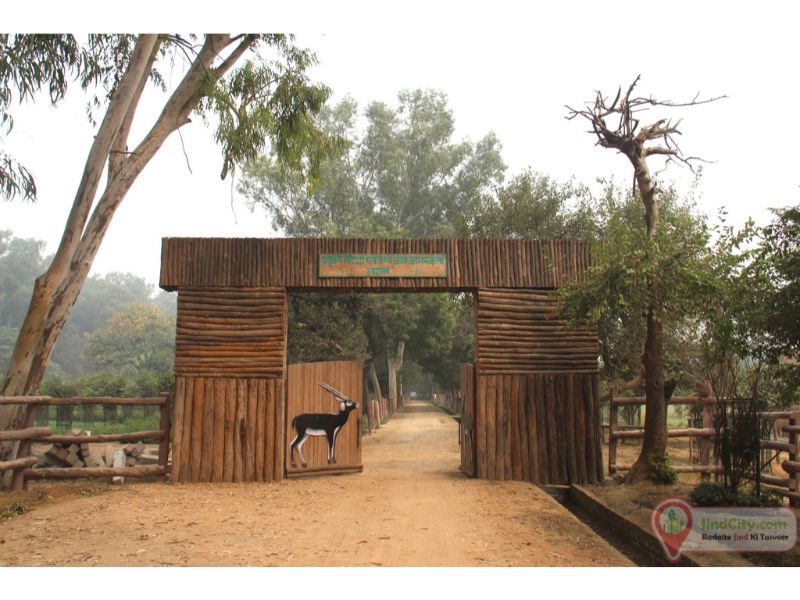 Zoo, Jind - Jind City (Heart of Haryana)