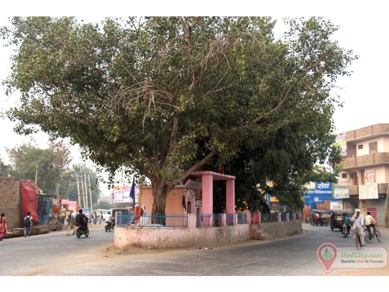 Batakh Chowk, Jind - Jind City (Heart of Haryana)