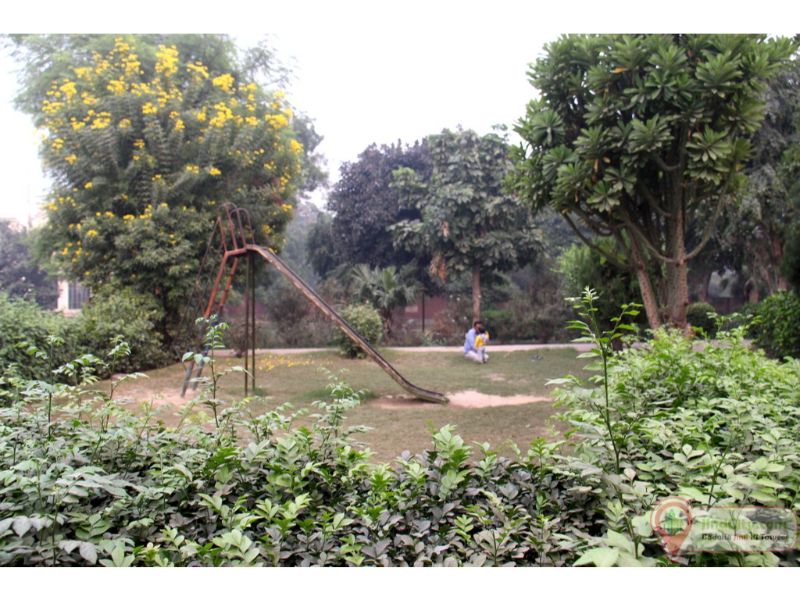 Nehru Park, Jind - Jind City (Heart of Haryana)