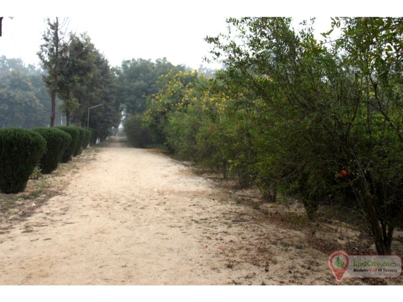 Herbal Park, Jind - Jind City (Heart of Haryana)