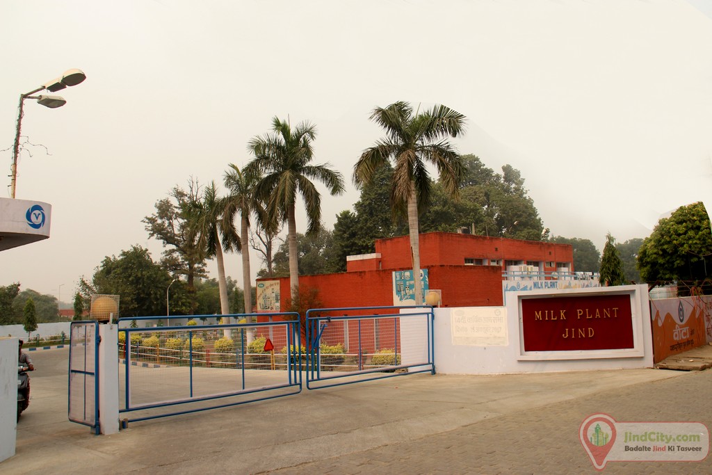 Milk Plant Jind, Jind