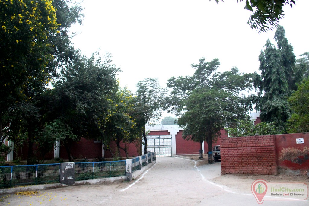 Diwan Balkrishna Rangshala, Jind