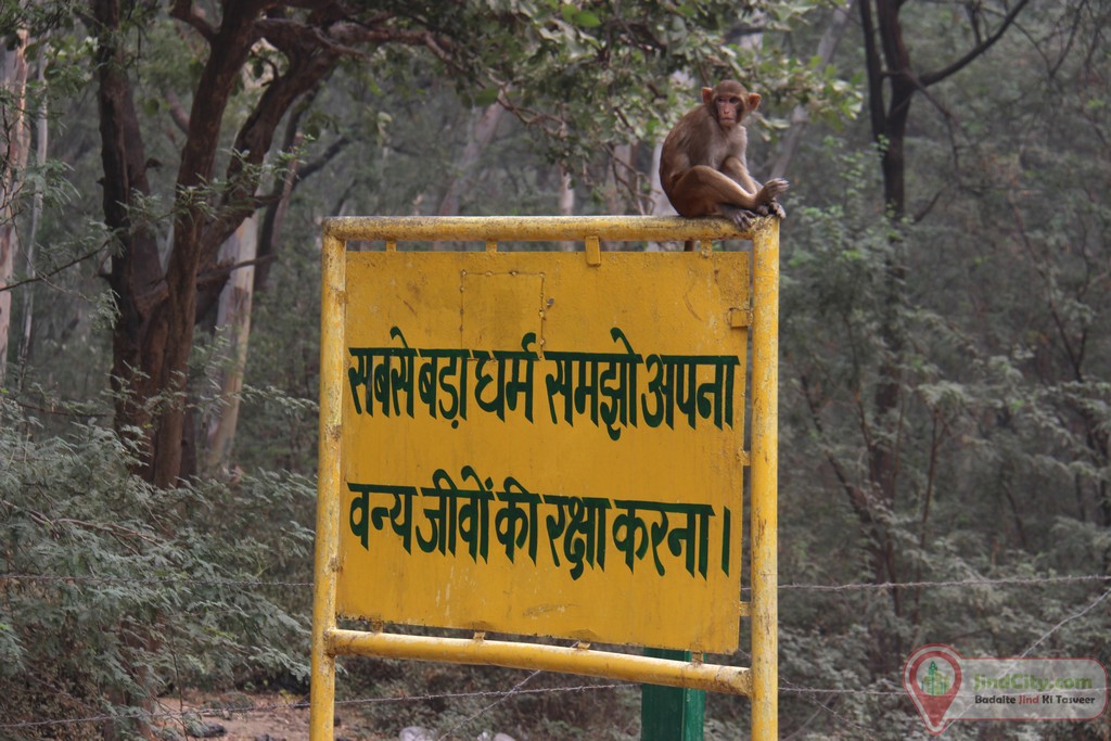 Bir Bara Ban Wildlife Sanctuary, Jind