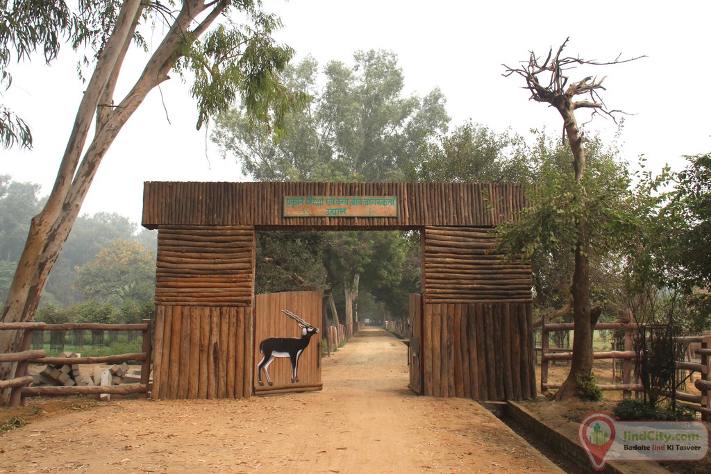 Zoo, Jind