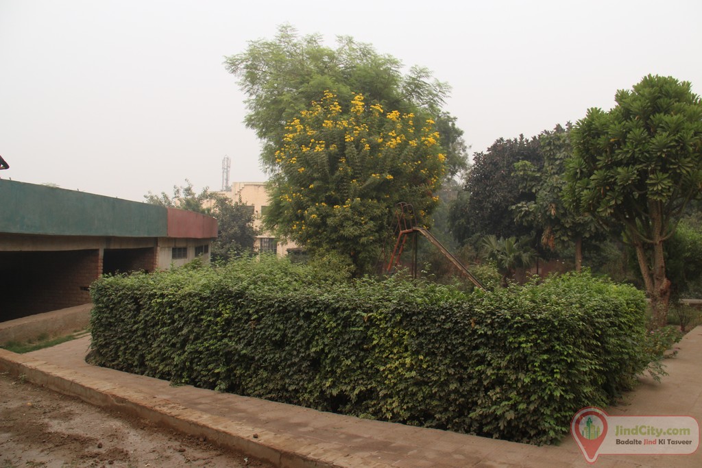Nehru Park, Jind