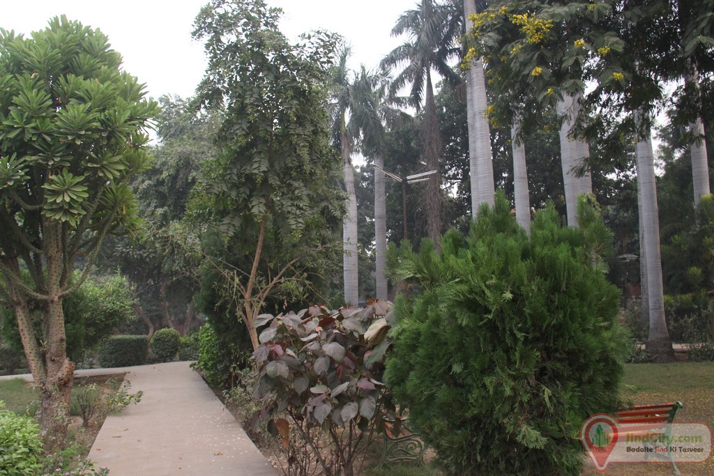 Nehru Park, Jind