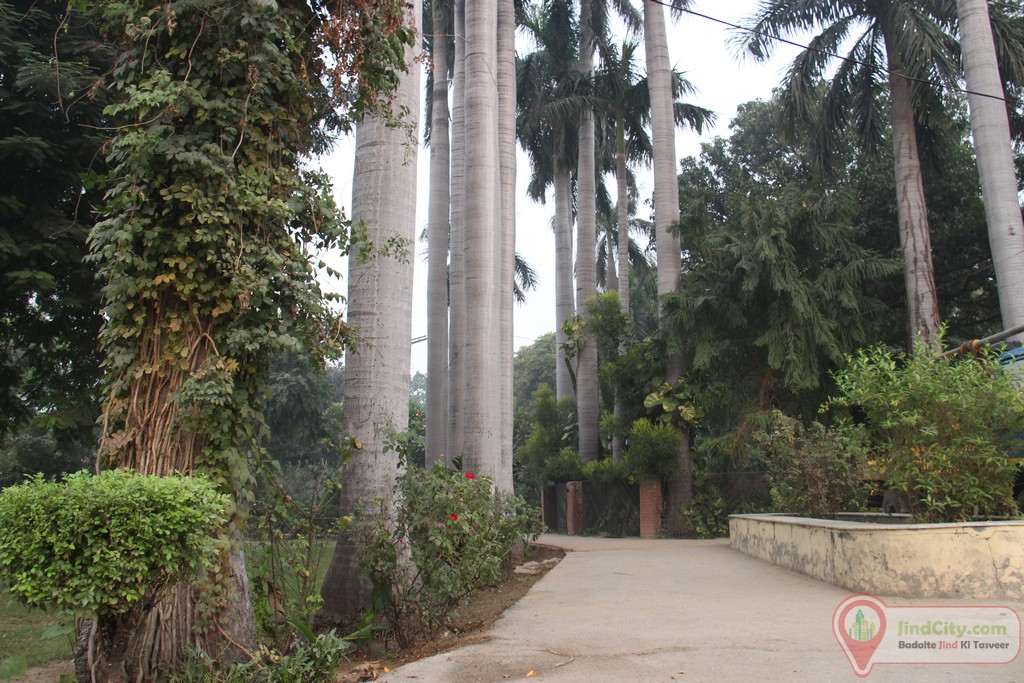 Nehru Park, Jind