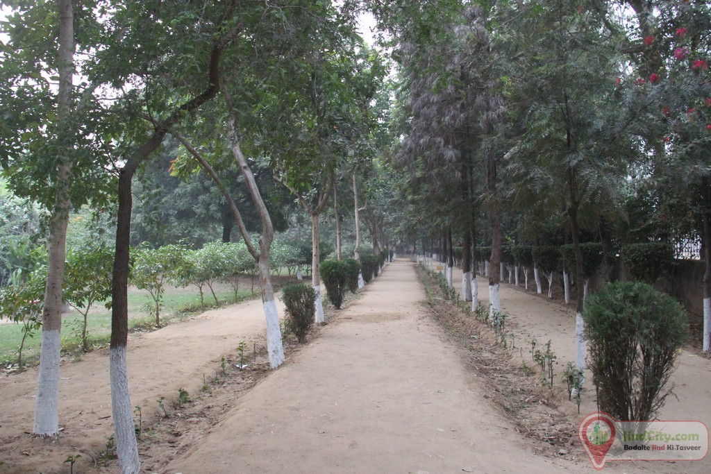 Herbal Park Jind