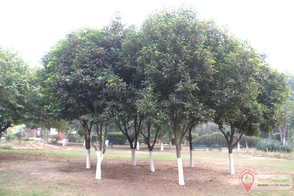 Herbal Park Jind