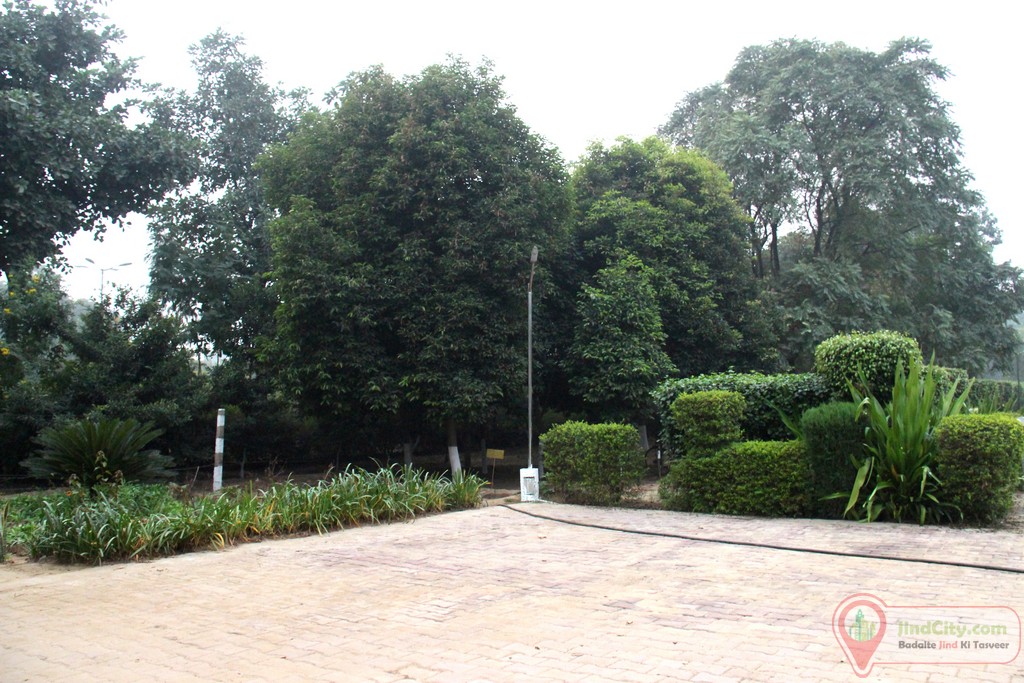 Herbal Park Jind