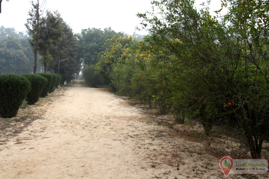 Herbal Park Jind